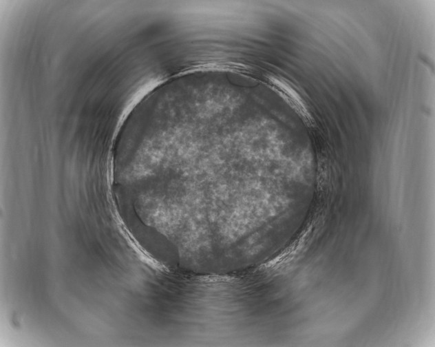 X0000094790804200712071227