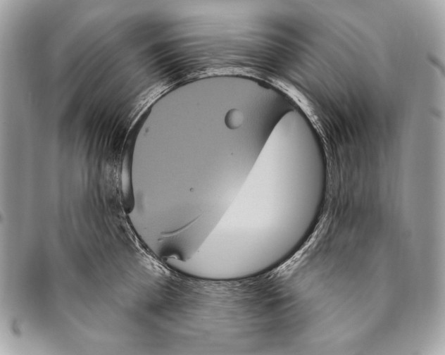 X0000094790809200712071227