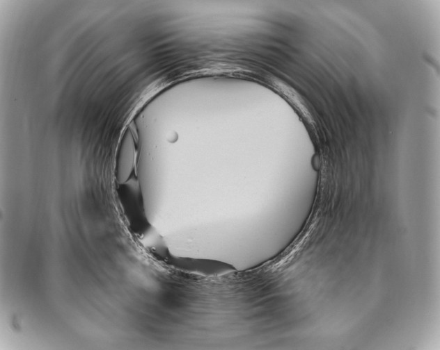 X0000094790810200712071227