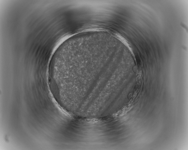 X0000094790811200712071227