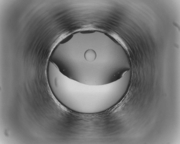 X0000094790813200712071227