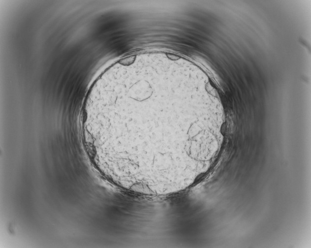 X0000094790814200712071227