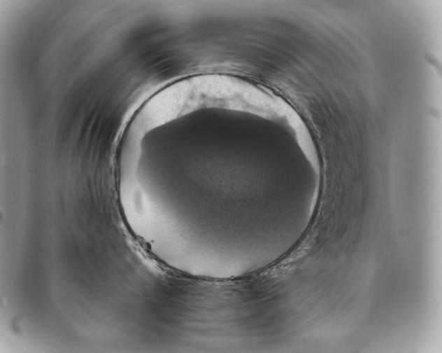 X0000094790816200712071227