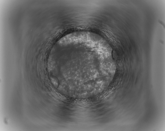 X0000094790817200712071226