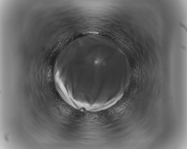 X0000094790818200712071226