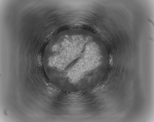 X0000094790819200712071226