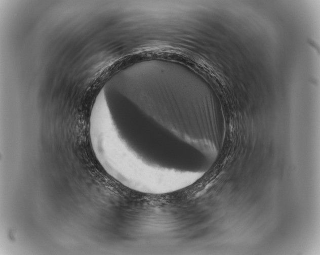 X0000094790822200712071226