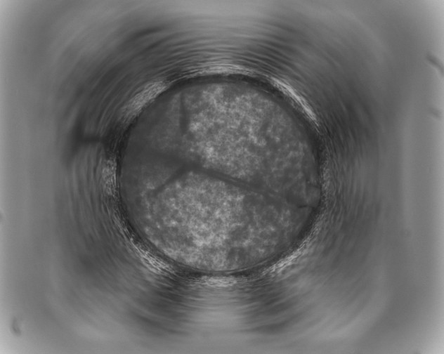 X0000094790825200712071226