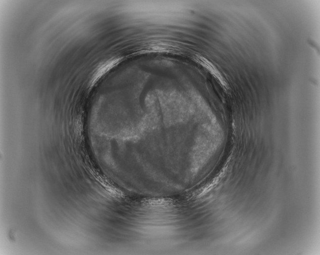 X0000094790826200712071226