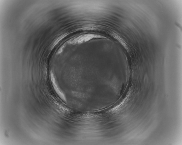 X0000094790829200712071226