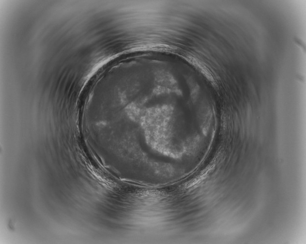 X0000094790830200712071226