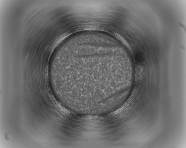 X0000094790831200712071226