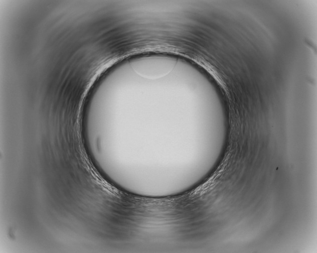 X0000094790832200712071226