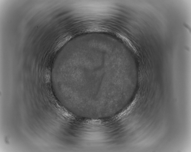 X0000094790833200712071226