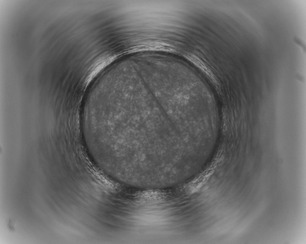 X0000094790834200712071226