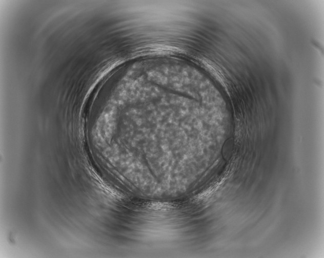 X0000094790835200712071226