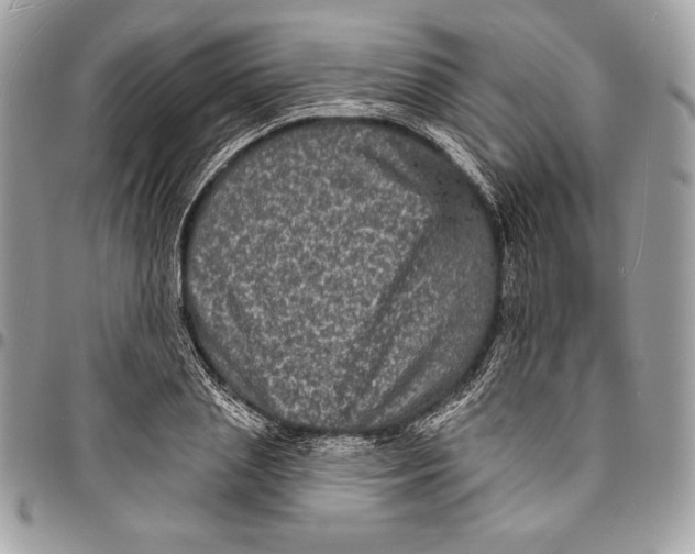 X0000094790837200712071226