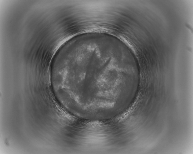 X0000094790838200712071226