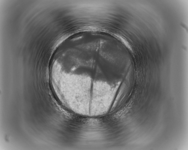 X0000094790839200712071226