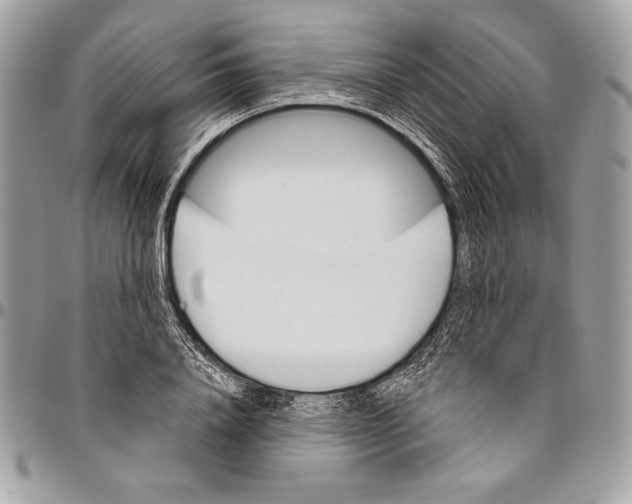 X0000094790840200712071227