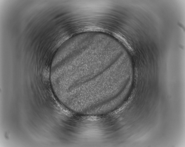 X0000094790841200712071227