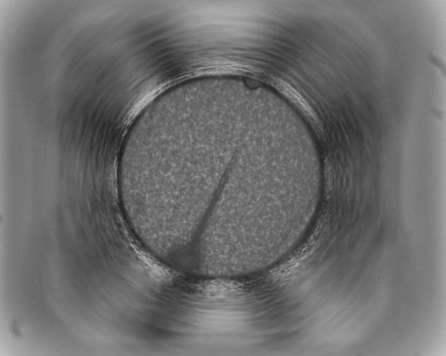 X0000094790842200712071227