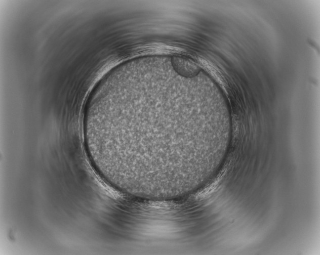 X0000094790843200712071227