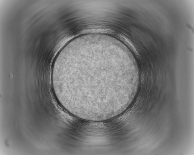 X0000094790844200712071227