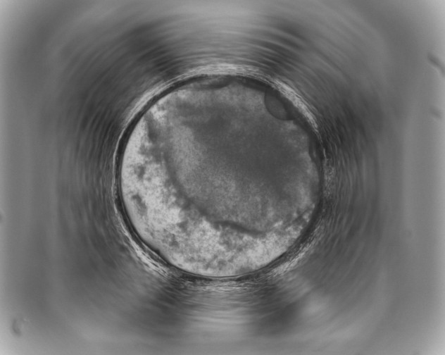 X0000094790845200712071227