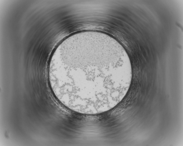 X0000094790848200712071227