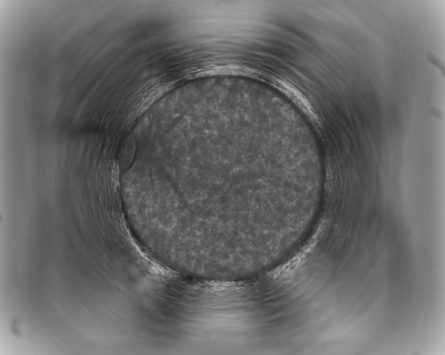 X0000094790849200712071227