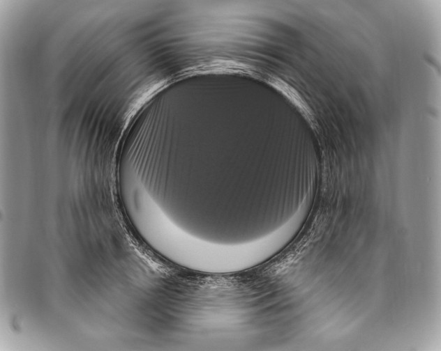 X0000094790850200712071227