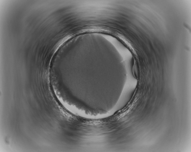 X0000094790853200712071227