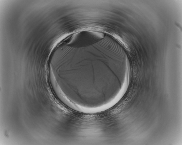 X0000094790854200712071227