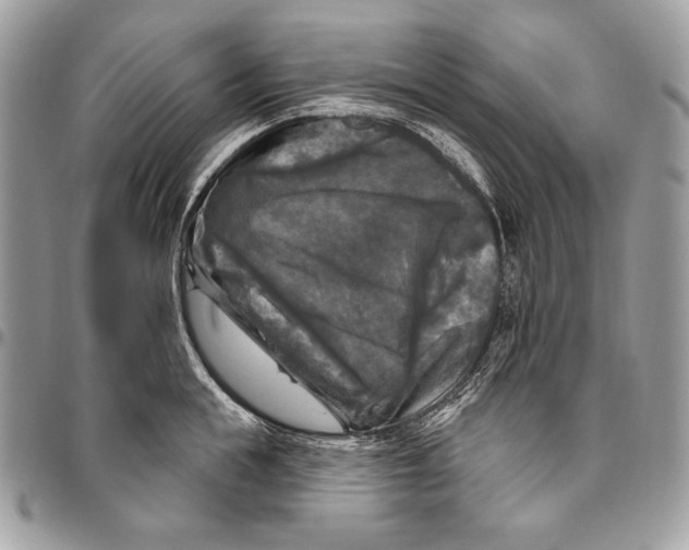 X0000094790855200712071227