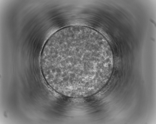 X0000094790856200712071227