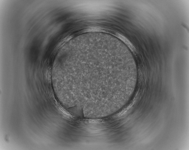 X0000094790857200712071227