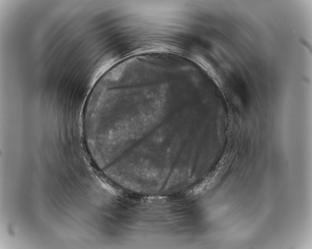 X0000094790858200712071227