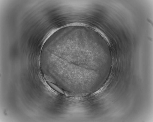 X0000094790860200712071227