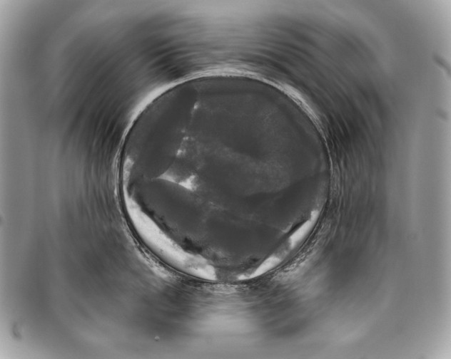 X0000094790862200712071227