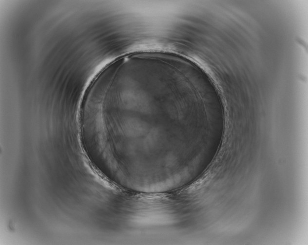 X0000094790864200712071227