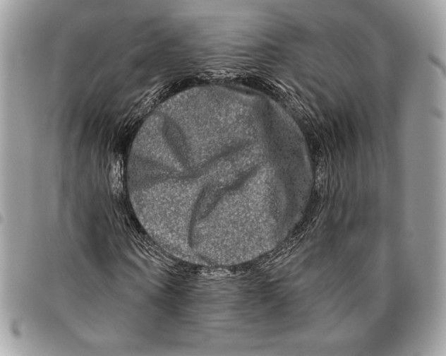 X0000094790866200712071226