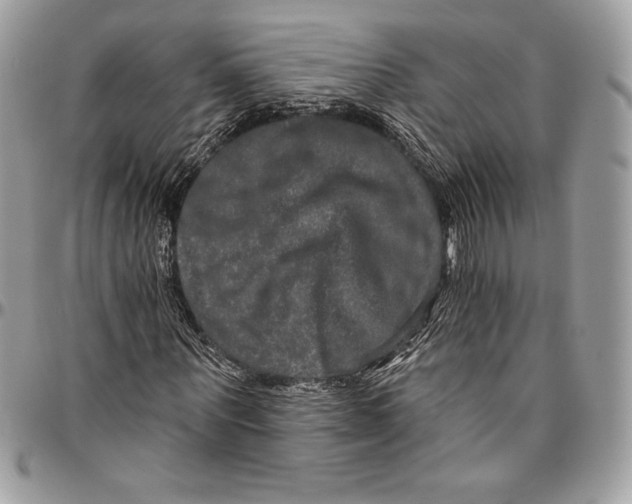 X0000094790867200712071226