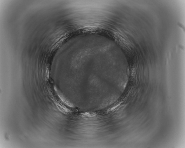 X0000094790868200712071226