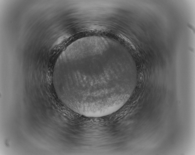 X0000094790869200712071226