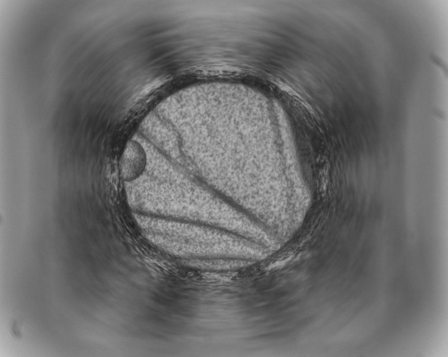 X0000094790870200712071226