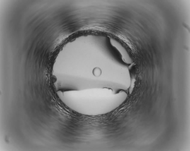 X0000094790872200712071226