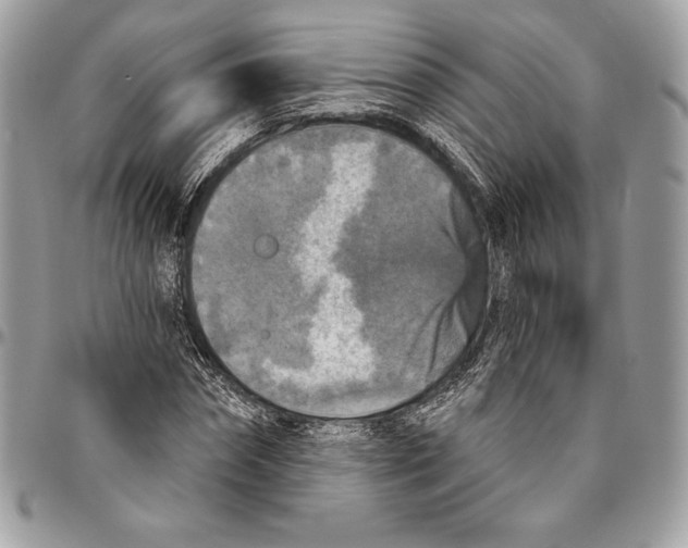 X0000094790874200712071226