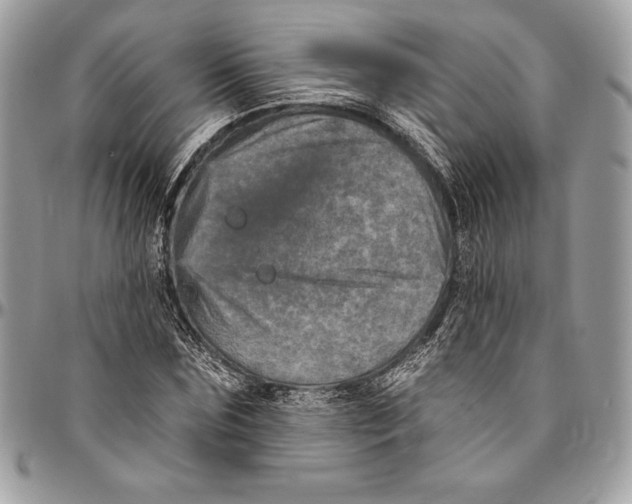 X0000094790875200712071226