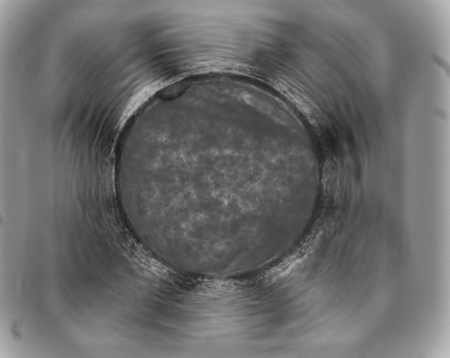 X0000094790877200712071226